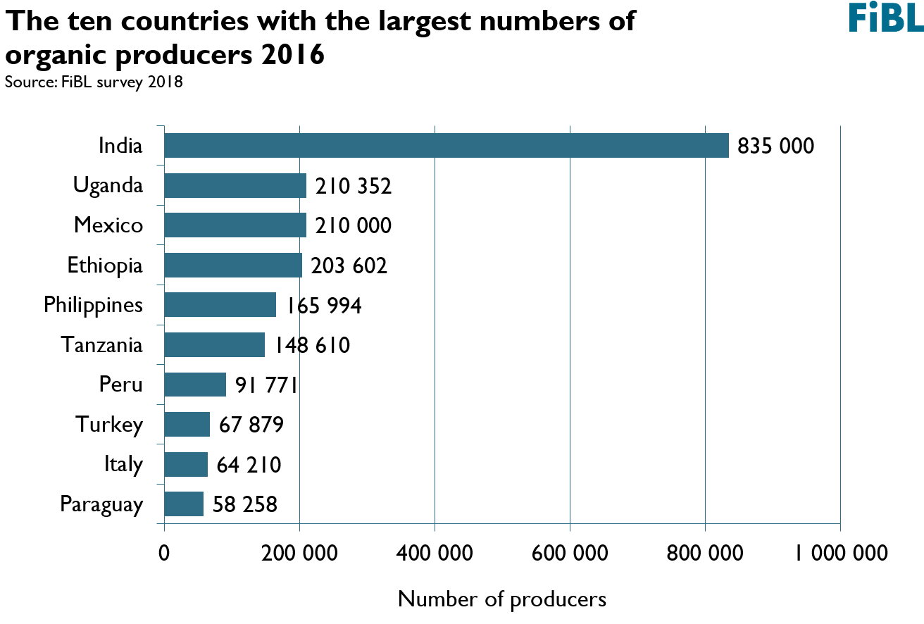 Infographics